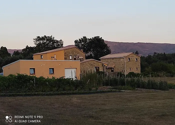 Quinta Damigo