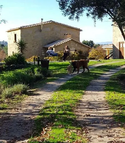 Quinta Damigo