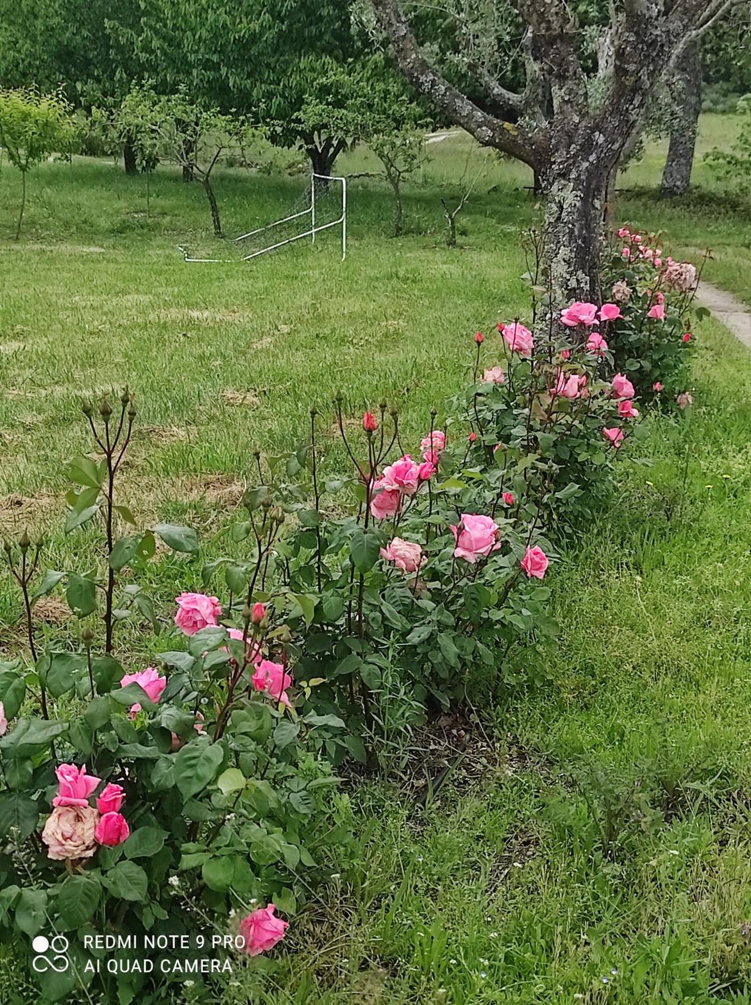 Country house Quinta Damigo Seia