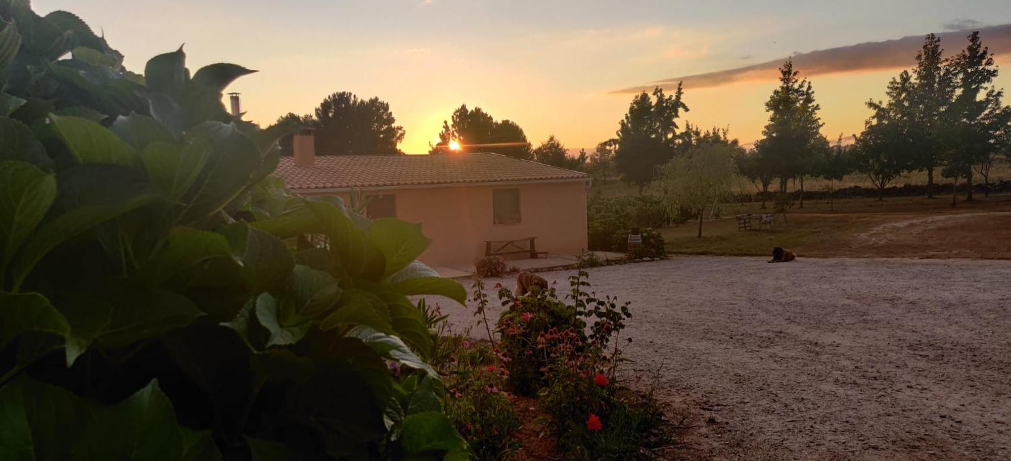 Quinta Damigo * Seia