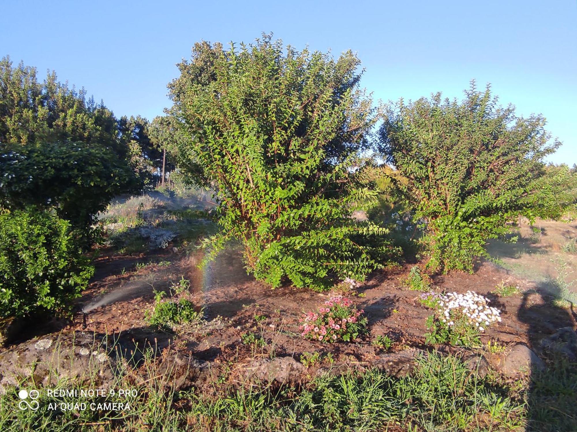 Country house Quinta Damigo *