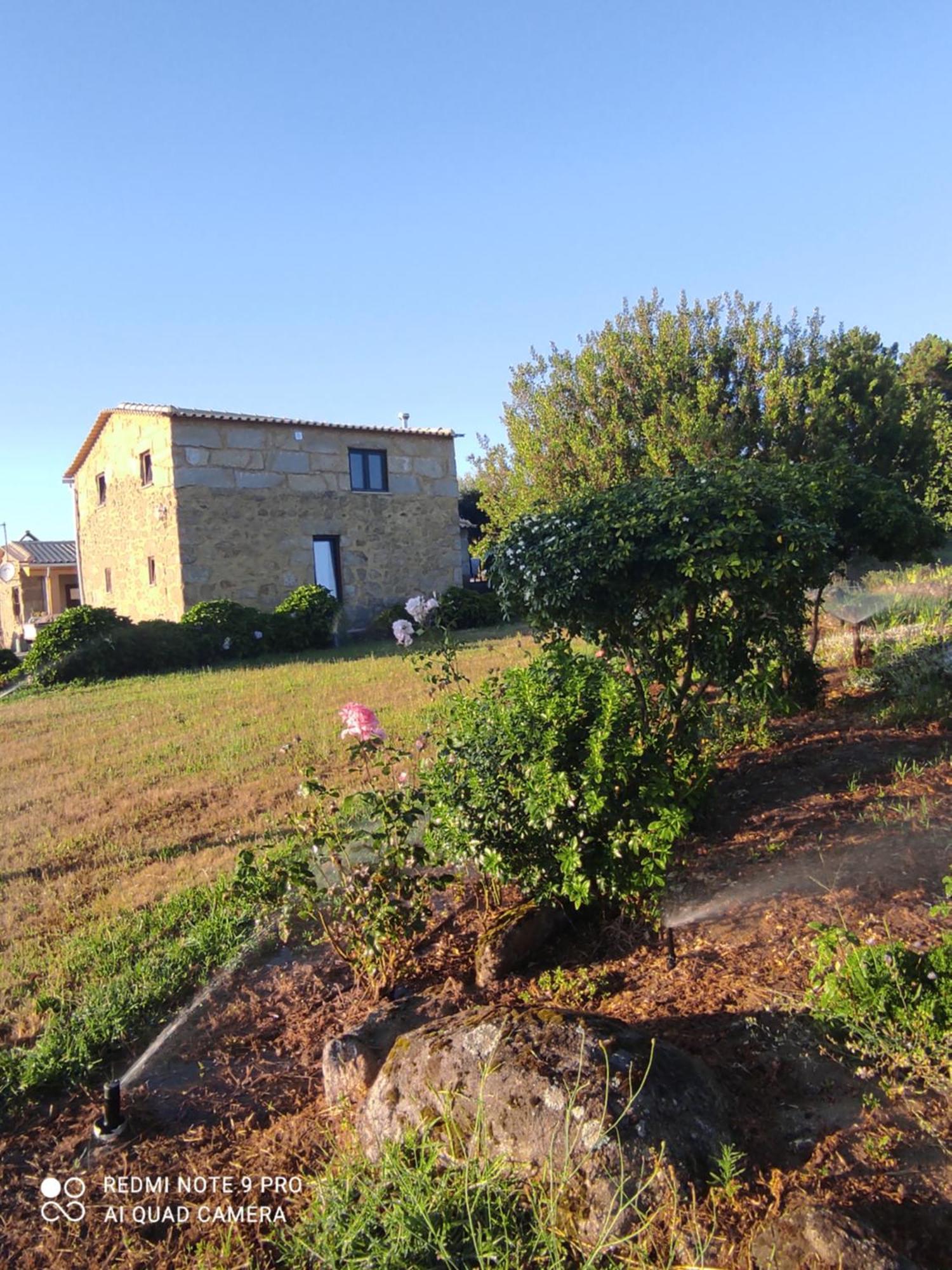Country house Quinta Damigo