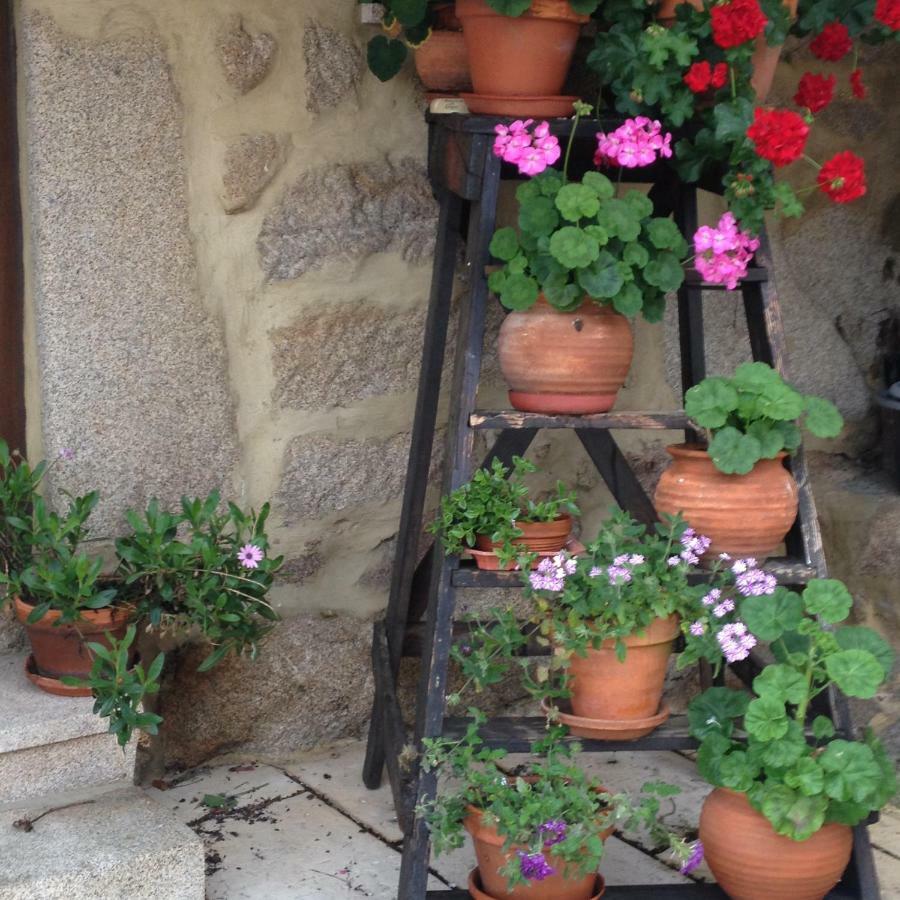 Country house Quinta Damigo