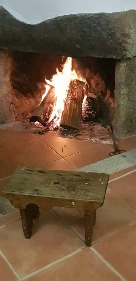 Country house Quinta Damigo *