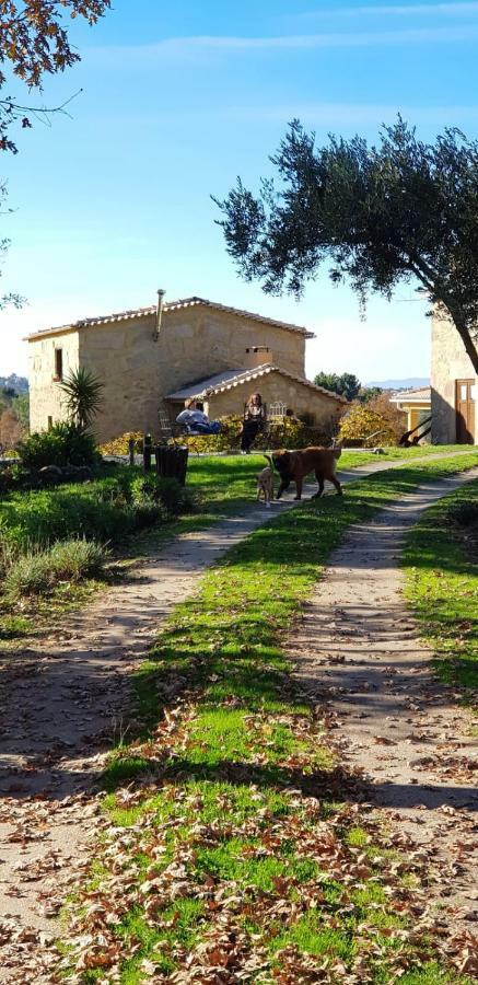 Quinta Damigo Country house *