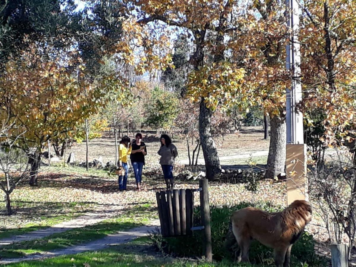 Country house Quinta Damigo *